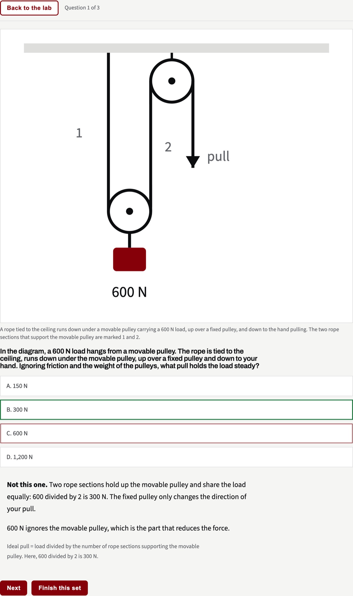 The pulley question in the lab: 600 N chosen and marked wrong, 300 N marked right, with the explanation beneath